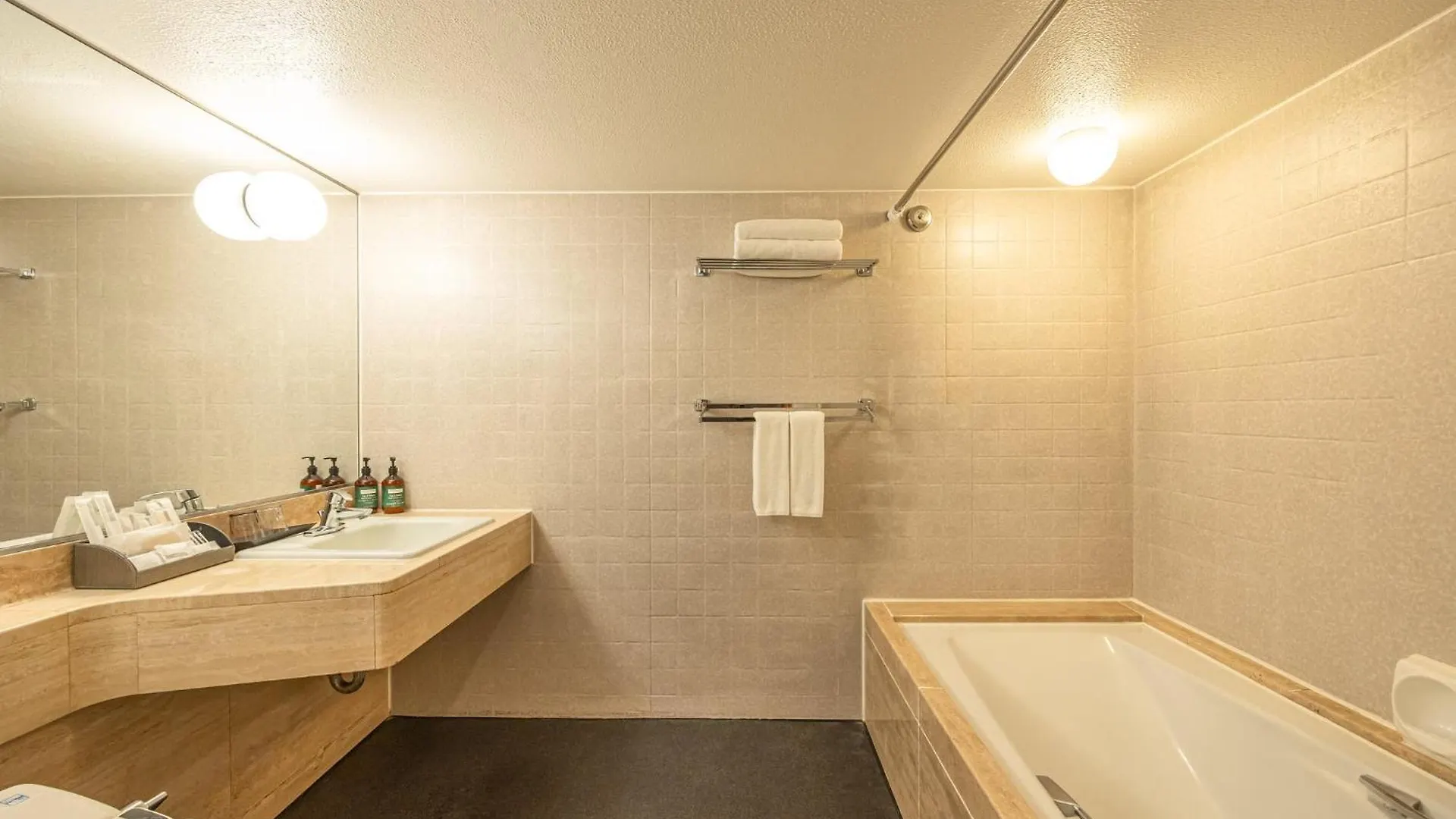 Hotel Ana Crowne Plaza Fukuoka By Ihg Fukuoka (Fukuoka)